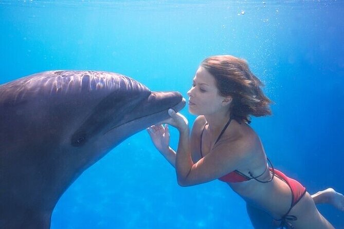 The only Natural Space Dolphin Encounter in Cabo Optional Pickup! - How the One-Hour Schedule Really Feels
