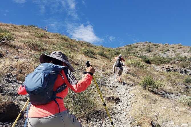 The Ultimate Camel Safari Experience in Los Cabos - Key Highlights You Should Know Before You Go