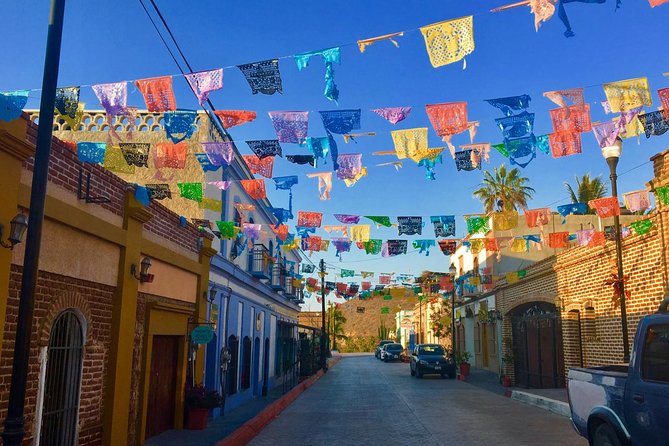 Todos Santos Day Trip from Cabo San Lucas - Shopping, sales pressure, and how to make the time work for you