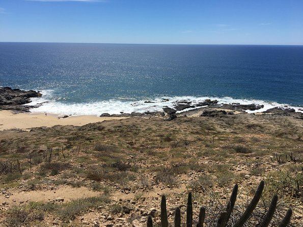 Todos Santos Day Trip from Cabo San Lucas - Guides make the difference: what the best ones do