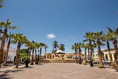 Todos Santos Private 6 hrs 1-08 paxs - Plaza Centro Walk: Small Shops and a Comfortable Stroll