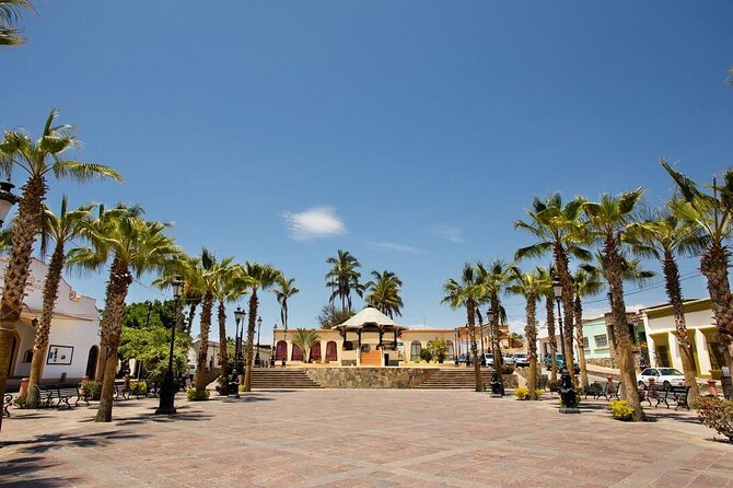 Todos Santos Private 6 hrs 1-08 paxs - Plaza Centro Walk: Small Shops and a Comfortable Stroll