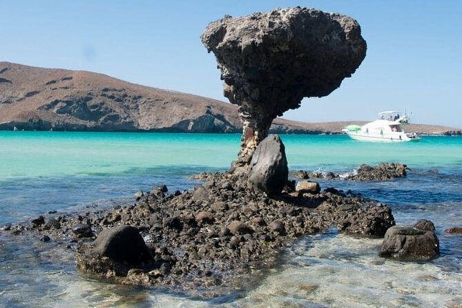 Tour to Playa La Paz from Cabo San Lucas - Key points you’ll care about