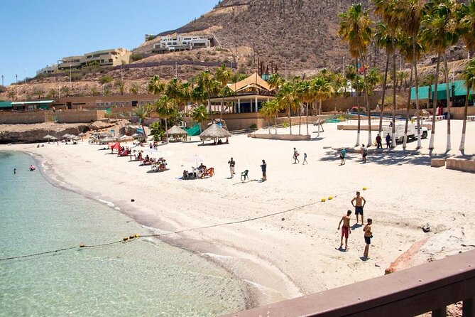 Tour to Playa La Paz from Cabo San Lucas - The role of guide Luis Antonio in the day’s rhythm