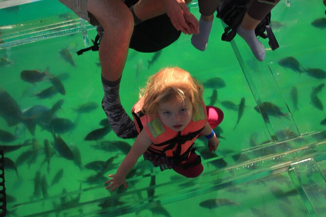 Tour to the Arch of Cabo San Lucas in a transparent glass boat - Pickup and Getting to the Boat: Where Timing Can Feel Tight