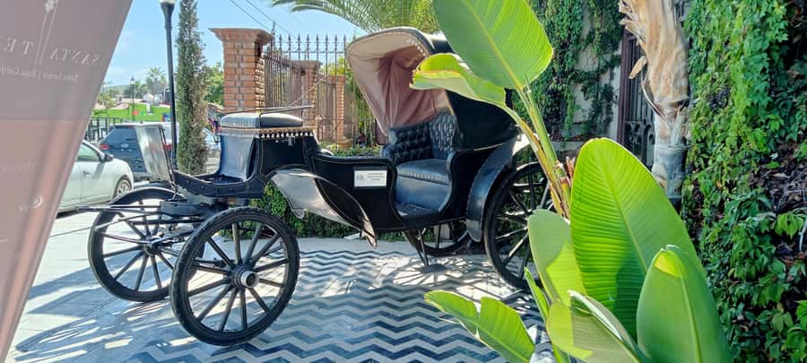 Tour Todos Santos Magical Town, Hotel California - Key Highlights You’ll Care About