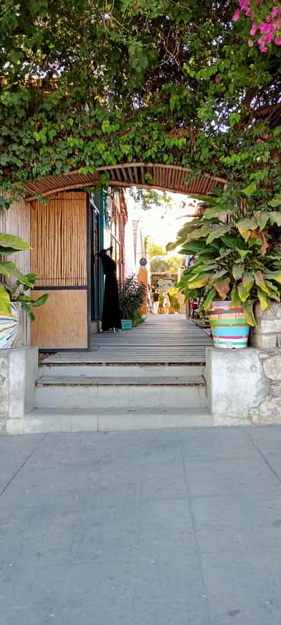 Tour Todos Santos Magical Town, Hotel California - Blanket Factory + Glass Creations: Shopping Without the Pressure