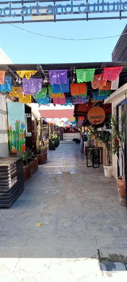 Tour Todos Santos Magical Town, Hotel California - Who This Tour Fits Best
