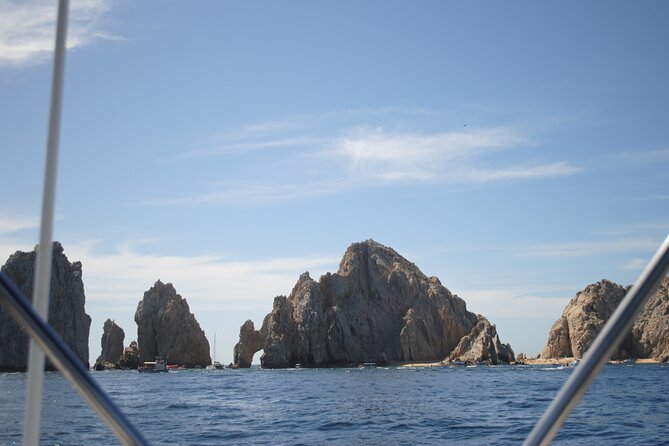 Ultimate Cabo Fishing Experience Aboard the Phantom - What you’ll see besides fishing: whales, dolphins, and open-water calm