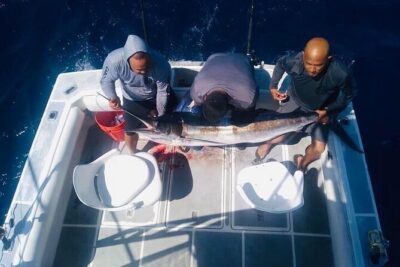 Ultimate Fishing Experience in Cabo - Stop 1 near El Arco: seeing Cabo before the fishing work begins