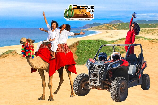 UTV Adventure with Free Camel Ride and Sky Bikes - Camel Encounter and Beach Riding: Hands-On, Guided, and Slow in the Best Way