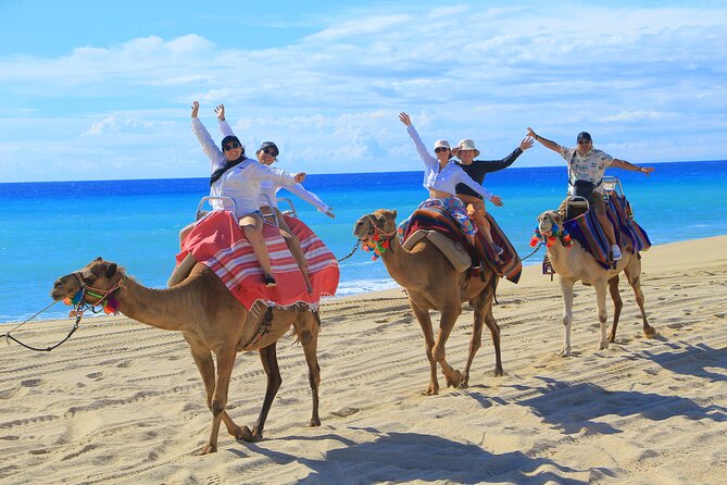 UTV Adventure with Free Camel Ride and Sky Bikes - Sky Bikes and Ecological Hike: The High-Altitude Pedal Moment
