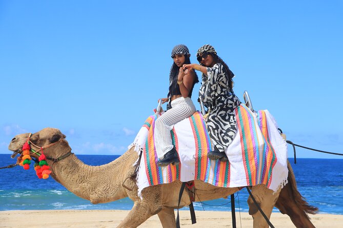 UTV Adventure with Free Camel Ride and Sky Bikes - Price and Logistics: What You Really Pay at the Gate