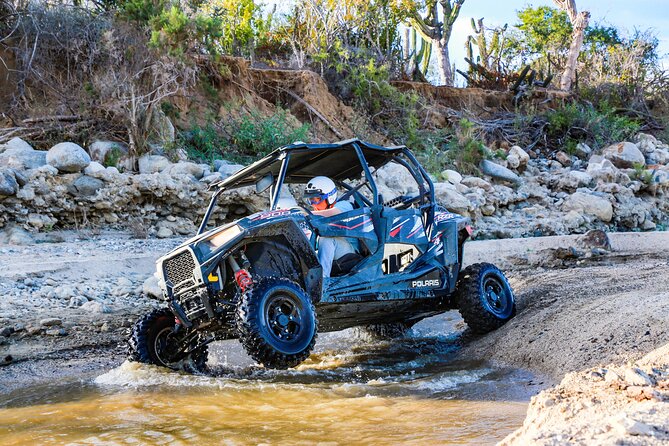 UTV and Camel Ride in the Cabo Desert - Key Things to Know Before You Go