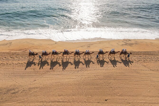 UTV and Camel Ride in the Cabo Desert - Photo Stops, Phone Rules, and Getting the Best Shots