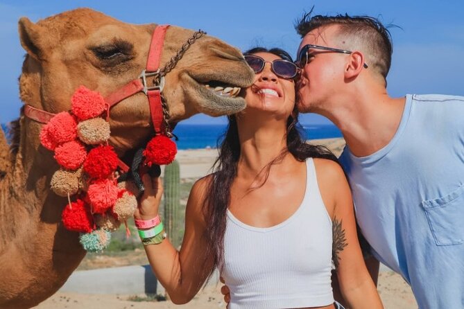 UTV and Camel Ride in the Cabo Desert - Snacks and Drinks: The Included Fuel