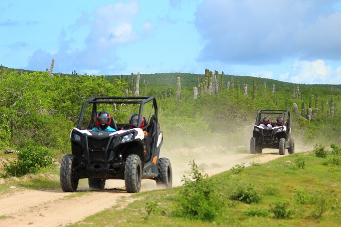 Viper Trail UTV Small-Group Experience in Cabo San Lucas - Quick Hits on Viper Trail UTV in Cabo