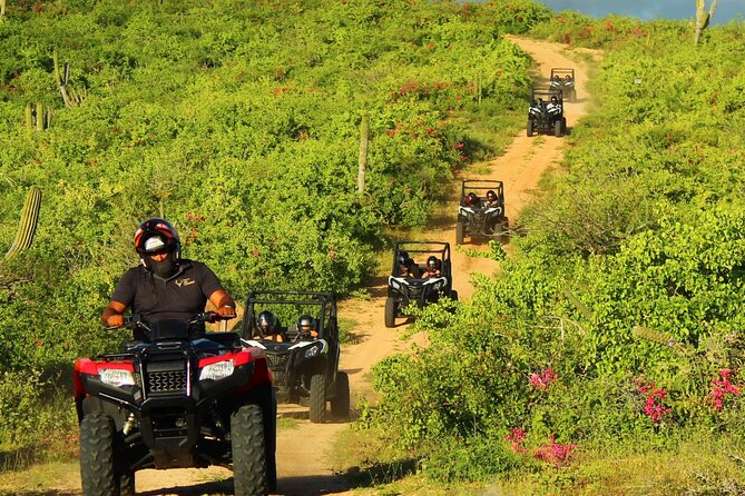 Viper Trail UTV Small-Group Experience in Cabo San Lucas - Snacks, Stops, and Why Small Groups Matter Here