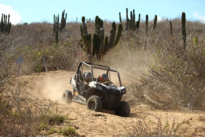 Viper Trail UTV Small-Group Experience in Cabo San Lucas - Value: What You’re Really Paying For in Cabo