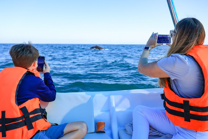 Whale Tour, Arch, Professional Photos & Hydrophone - How the 2-hour Cabo San Lucas whale cruise really plays out