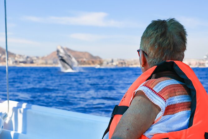 Whale Tour, Arch, Professional Photos & Hydrophone - Hydrophone whale audio: turning a sighting into something you can keep