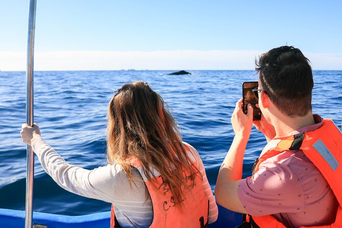 Whale Tour, Arch, Professional Photos & Hydrophone - Price and value: what $142.38 buys you (and what to watch for)