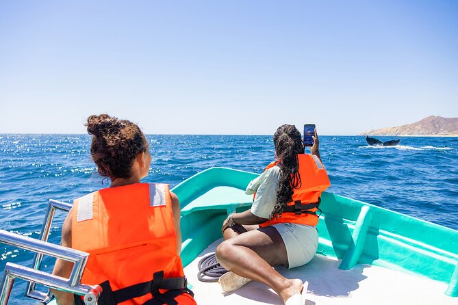 Whale Tour, Arch, Professional Photos & Hydrophone - Arch of Cabo San Lucas: the photo stop that anchors the whole experience