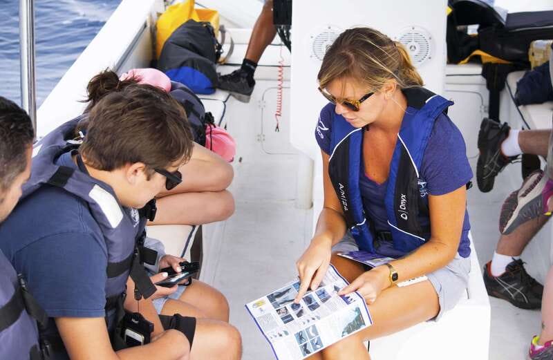 Whale Watch Cabo: Zodiac Whale Adventure - FREE Photos - Key points before you go