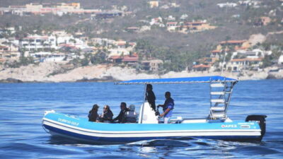Whale Watch Cabo: Zodiac Whale Adventure - FREE Photos - Where you start: Plaza Bonita meeting point and what to do first