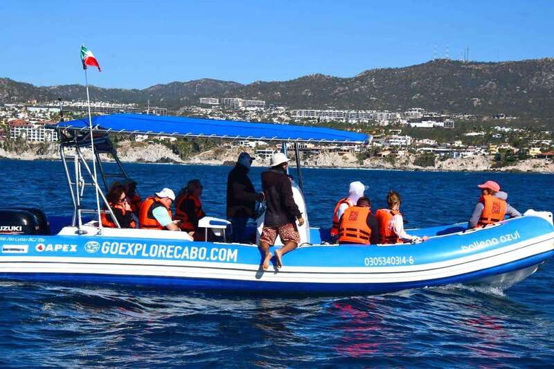 Whale Watch Cabo: Zodiac Whale Adventure - FREE Photos - Zodiac comfort and health limits: who this tour is (and isn’t) for