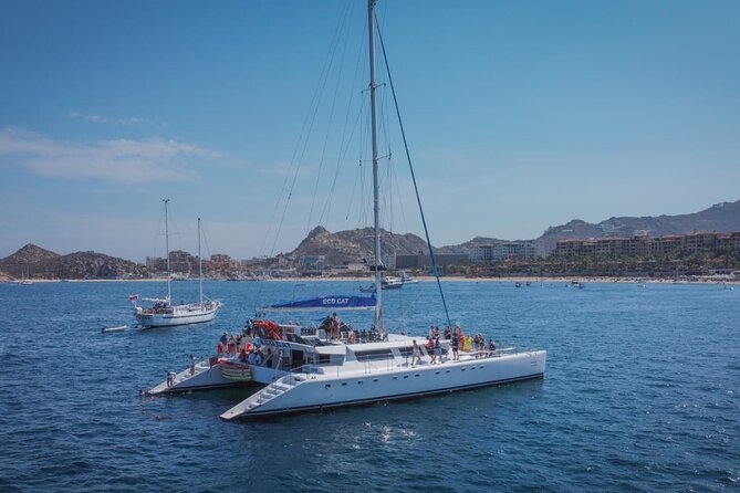 Whale Watching & Arch Catamaran Cruise in Cabo San Lucas - What This 2-Hour Cabo Trimaran Cruise Feels Like
