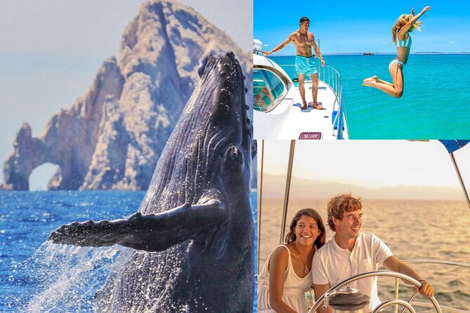 Whale Watching & Arch Catamaran Cruise in Cabo San Lucas - Deck Comfort: Open Air Views Plus Shaded Places (and Bathrooms)