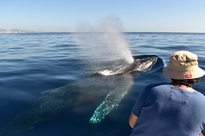 Whale Watching Cabo-Women crew-Sightings Guaranteed & Free Photos - Cabo whale watching with a small crew: what you’re really buying