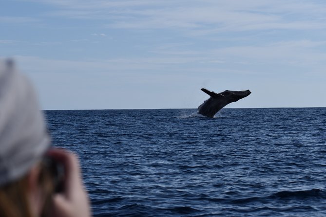 Whale Watching Cabo-Women crew-Sightings Guaranteed & Free Photos - Marine biologists spotting whales: the value of getting it right