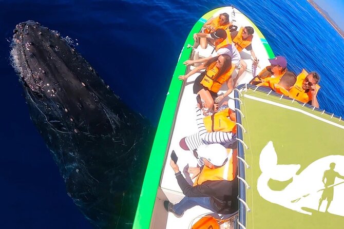 Whale Watching Cabo-Women crew-Sightings Guaranteed & Free Photos - Price and value: $100.15 is the headline, but know the extras