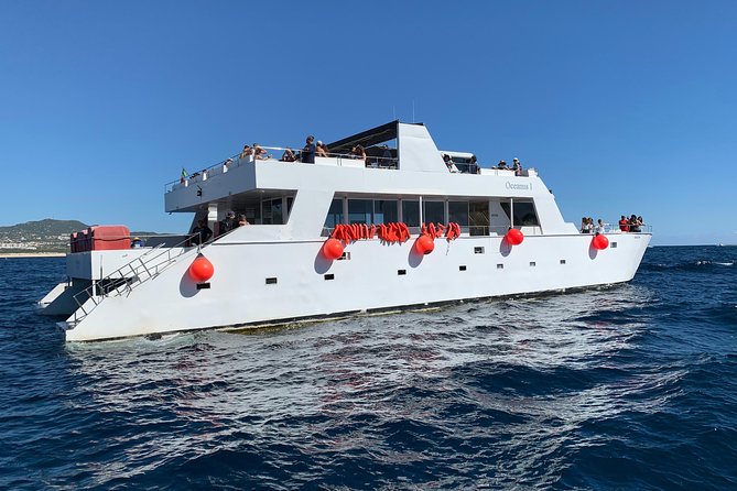 Whale Watching Cruise in Cabos San Lucas and Ground Transportation - Price and value: is $118 a fair deal?