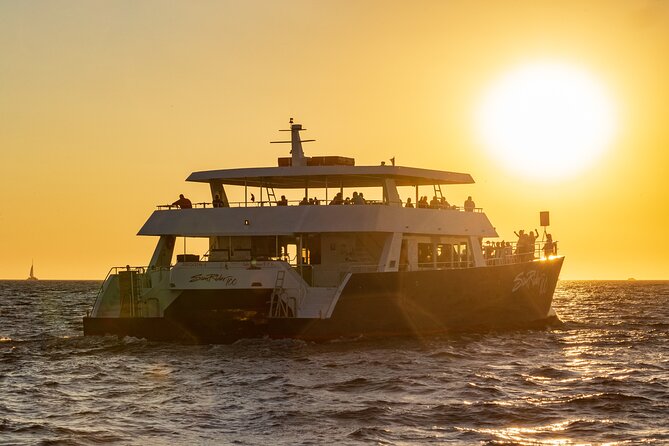 Whale Watching Dinner Cruise in Cabo San Lucas - Whale Watching for Humpbacks and Gray Whales (What It Really Means)
