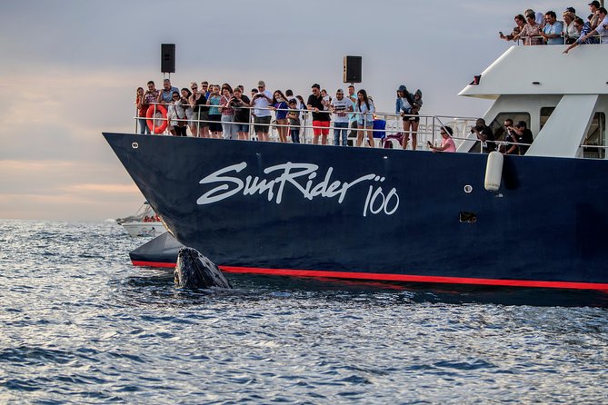 Whale Watching Dinner Cruise in Cabo San Lucas - Boat Comfort: Clean, Spacious, and Built for Real Bathroom Needs