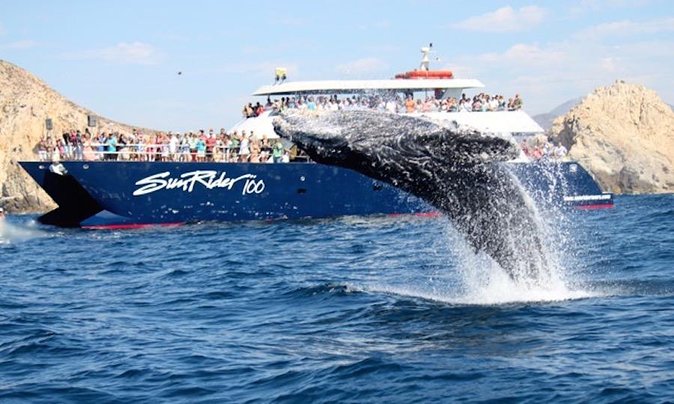 Whale Watching Dinner Cruise in Cabo San Lucas - First Stop: The Arch of Cabo San Lucas Photo Run
