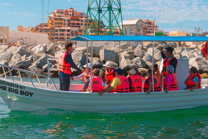 Whale Watching Experience in Cabo San Lucas 2 hours - Whale watching on a 2-hour route: how to manage expectations