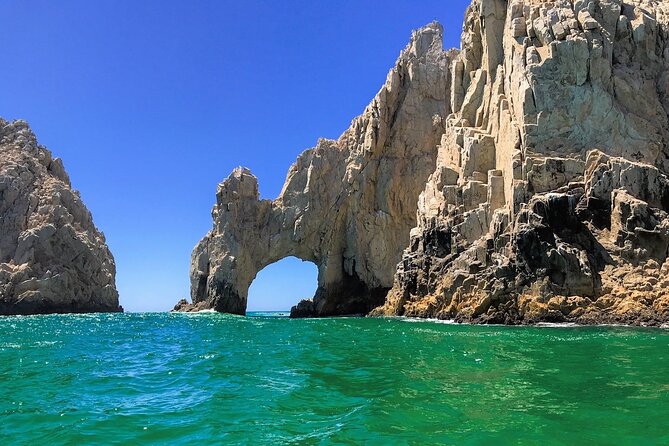 Whale Watching in Cabo: 2-Hour Small Group Tour to The Arch - Practical timing: meeting point and how to avoid a stressful start