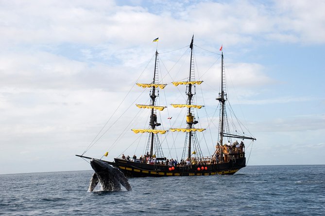 Whale-Watching Pirate Ship Cruise in Los Cabos - Best deck strategy: where to stand and how to manage the ride