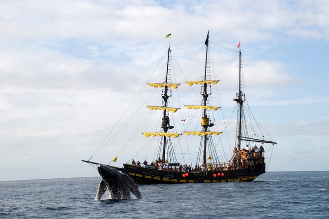 Whale-Watching Pirate Ship Cruise in Los Cabos - Getting to La Terminal de CaboMarina: how to avoid the most common stress
