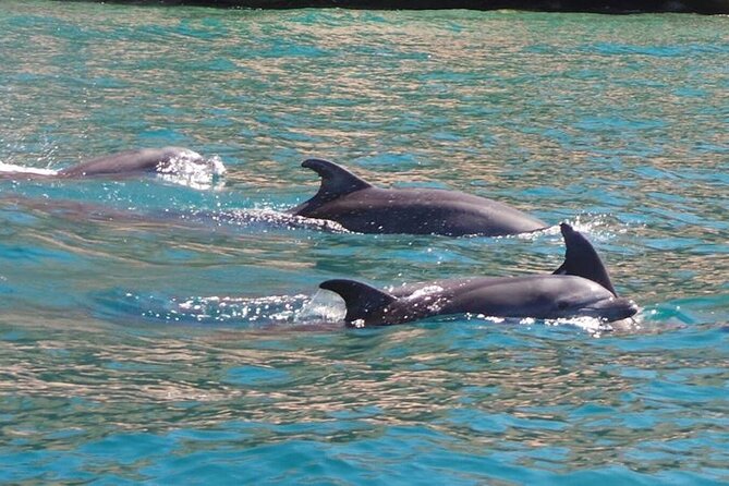 Whale Watching Snorkel Combo - Stop 1: seeing El Arco from the water