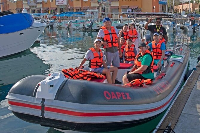 Whale Watching Snorkel Combo - Photo and video moments in the water