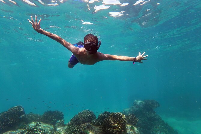 Whale Watching & Snorkeling Combo in Los Cabos with Photos Included - Key highlights worth booking for