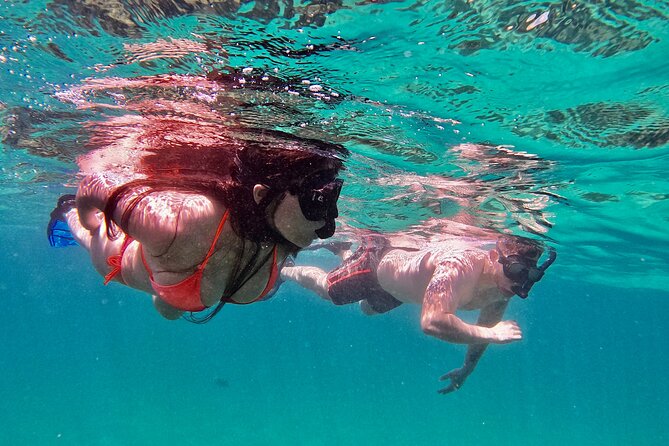 Whale Watching & Snorkeling Combo in Los Cabos with Photos Included - The snorkel stop: what you’re likely to see and how the hour feels