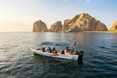 Whale Watching Tour in Cabo San Lucas - Meeting at Dive Ninja Expeditions in downtown Centro