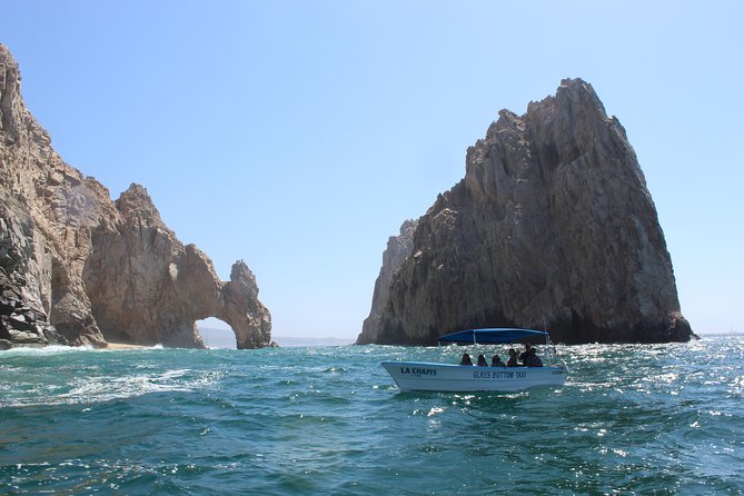 Whale Watching Tour in Glass Bottom Boat (VisitA Cabo) - Stop 2: The Sea of Cortez Search Near Love and Divorce