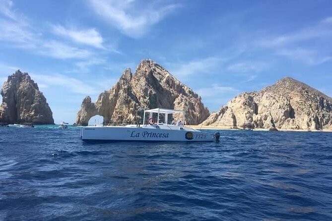 Whale Watching Tour in Los Cabos - Meeting point and pickup: how to keep the day from slipping